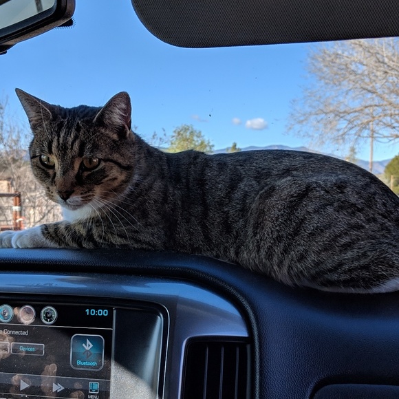 Meet your Posher, Kians - Picture 1 of 1